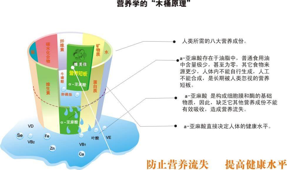 营养学的木桶原理含量都很少,而亚麻籽油单不饱和脂肪酸含量较低,更是