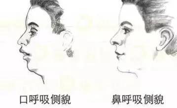 1a66e9a5010f4689b184a1989372ad3c.jpeg