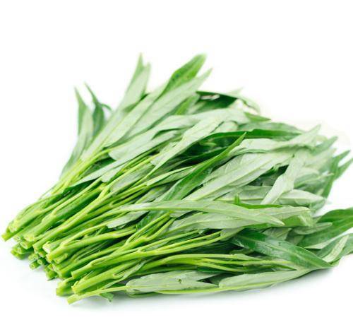 哪些属于绿叶蔬菜 2541e0a8de1740f1912431de5eae9eab.jpeg