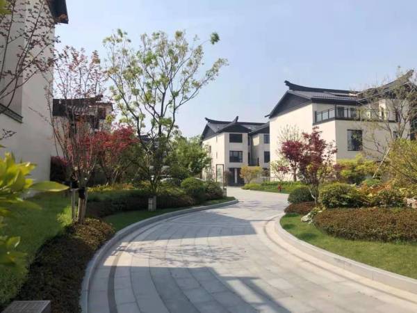 奉贤区的人口_奉贤区地图