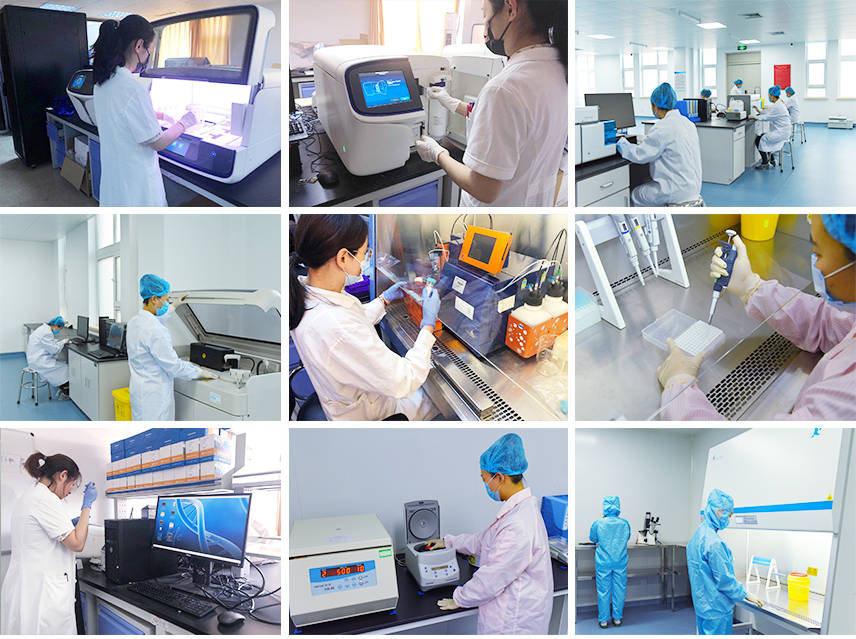 长春吉卡生物医学检验实验室启动新型冠状病毒检测