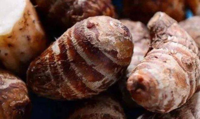 什么时候种芋头好吃 03ccc219ee0b494c84acae98c50f215c.jpeg