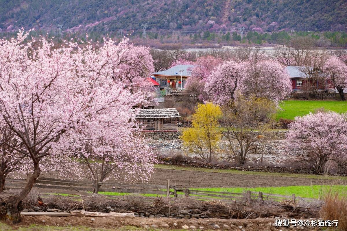 这才是中国春天适合自驾的10条线路，3-5月沿途美成天堂！