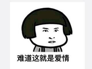 原创
开心笑话:一对新婚夫妇发生了争吵,最后,妻子再也忍受不住