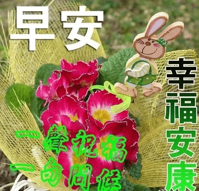 原創早上好各種圖片大全早上好有鮮花圖片問候語