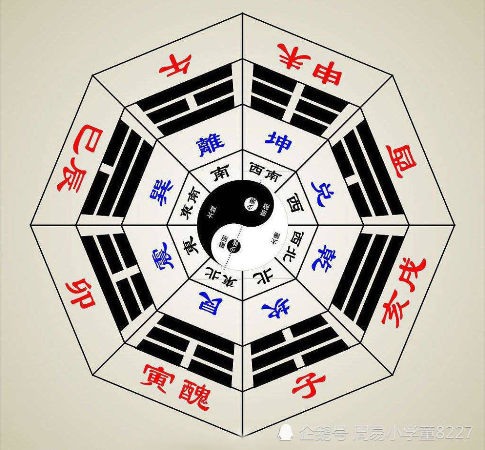 根茎命理有什么特点 根茎是啥意思