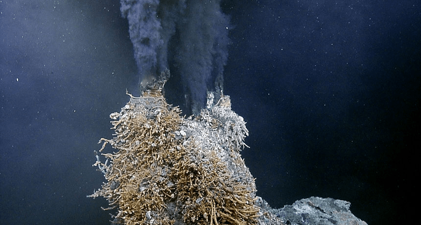 常年生活在海底450℃火山口的大虾,为何在吃货50℃的锅里怂了?_生物