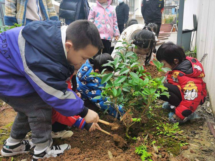 贵阳市云岩区第三幼儿园开展植树节主题活动