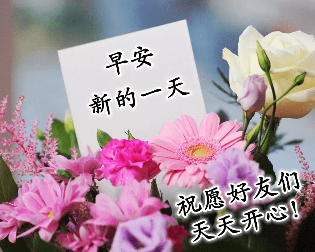 原創清晨暖心的早安祝福語朋友圈最喜歡的早安祝福圖片帶字