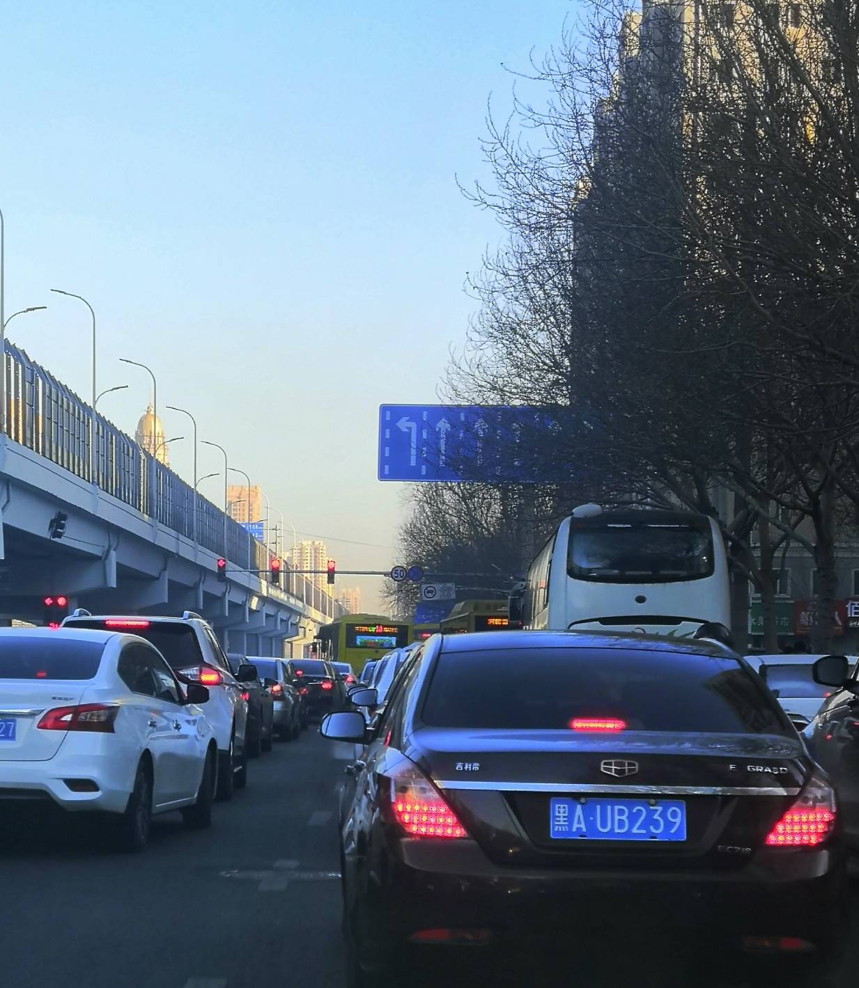 开学 复工,哈尔滨早高峰部分主干街路"缓而不堵"_车流