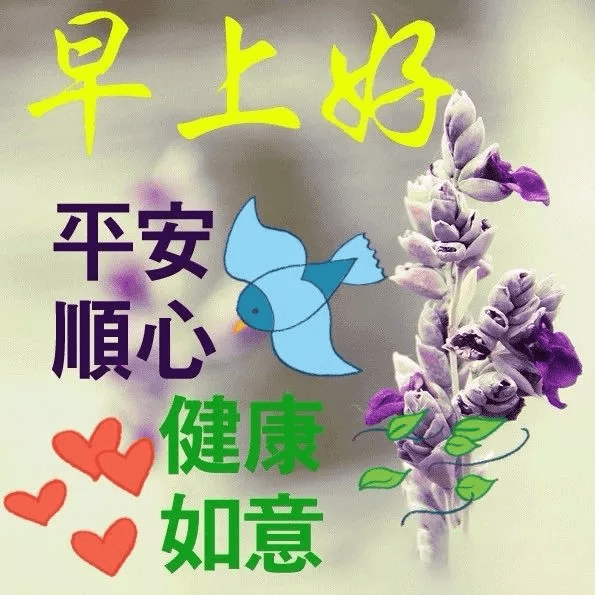 59d80a5f4853464c9c3f09d9b6e5f209.png