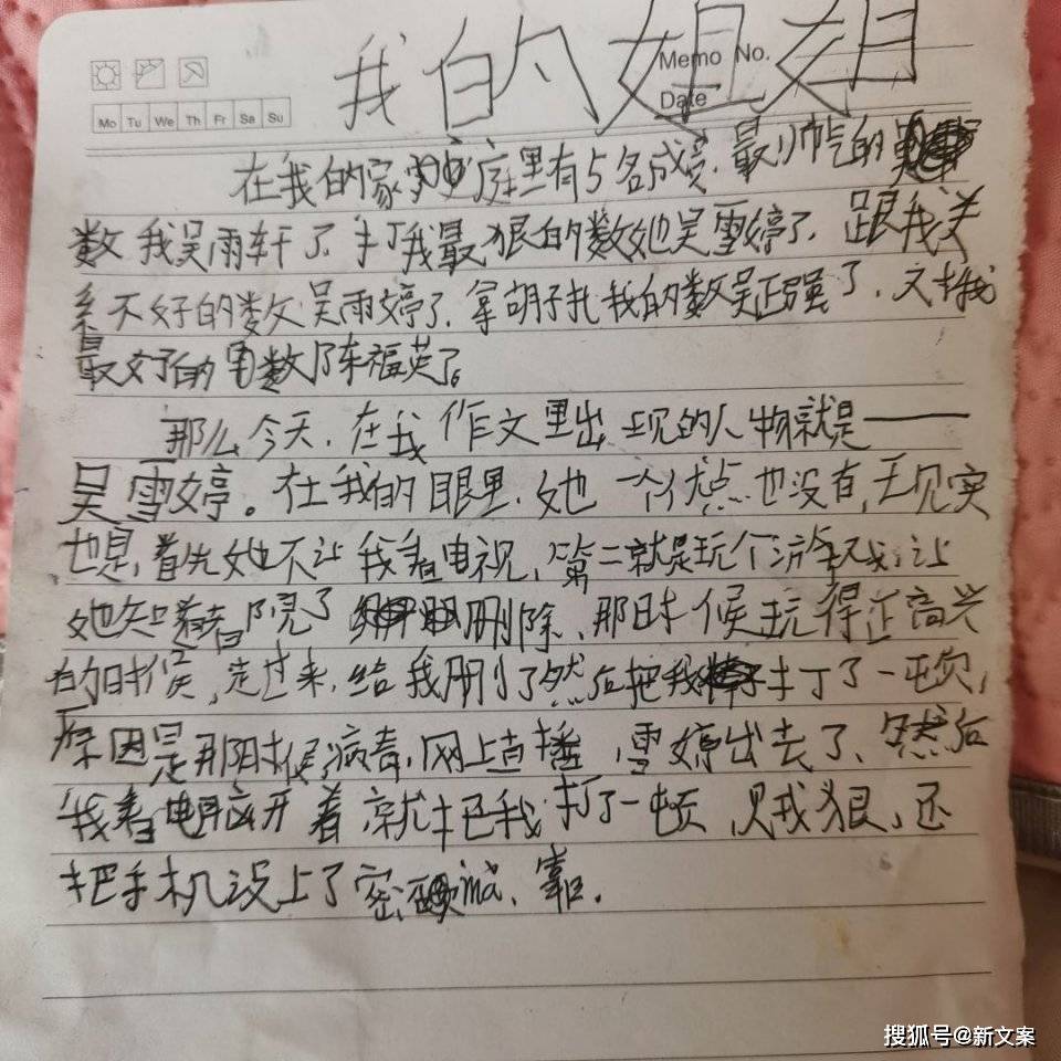 偷看沙雕弟弟的作文是啥体验好家伙给我气笑了