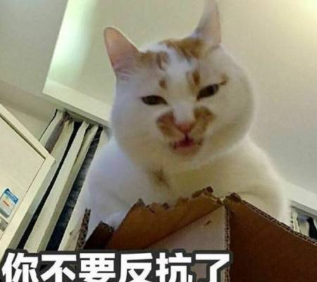 ac54a88f8df54f71a8e2ac9b13b1858a.jpeg