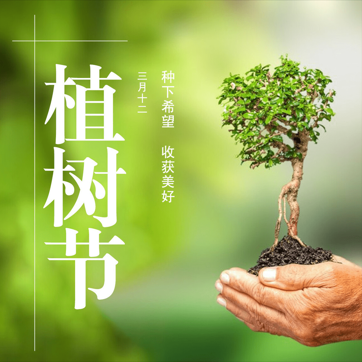 植树节,在心中种下一棵"造福树"