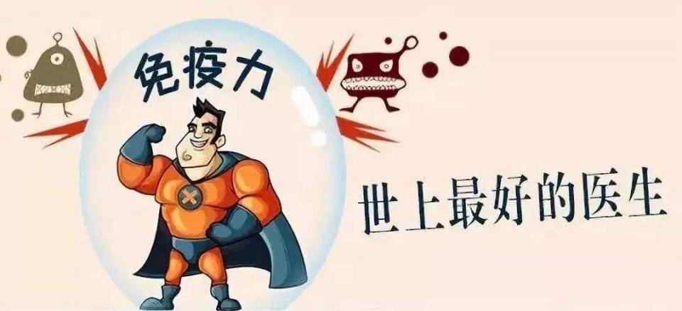 怎样才能提高人体自身免疫力 bc6d379249064a2f87cc0f90cc9d5a48.jpeg
