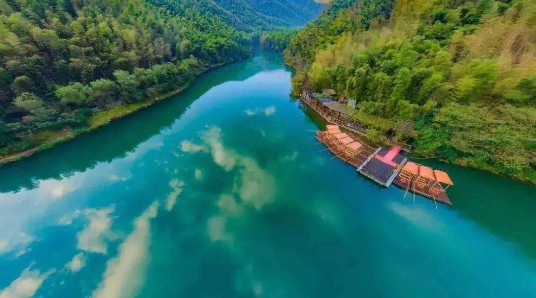 三省|南山竹海太美了