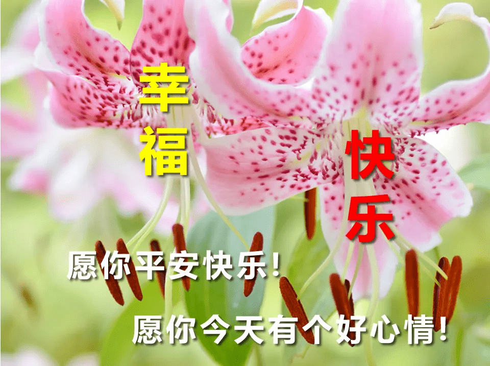 原創非常漂亮的早安動態表情圖片早上好發朋友圈動態祝福圖片大全