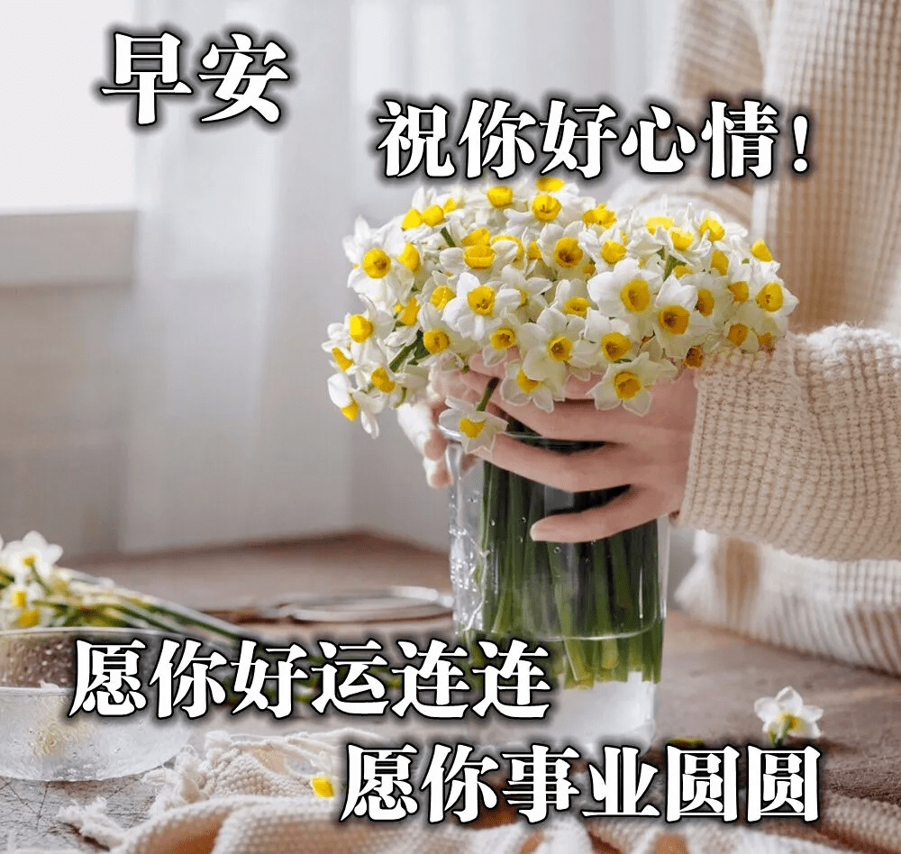 阳光加雨露 d300b3b88f954ee9bff651af6fcda026.png