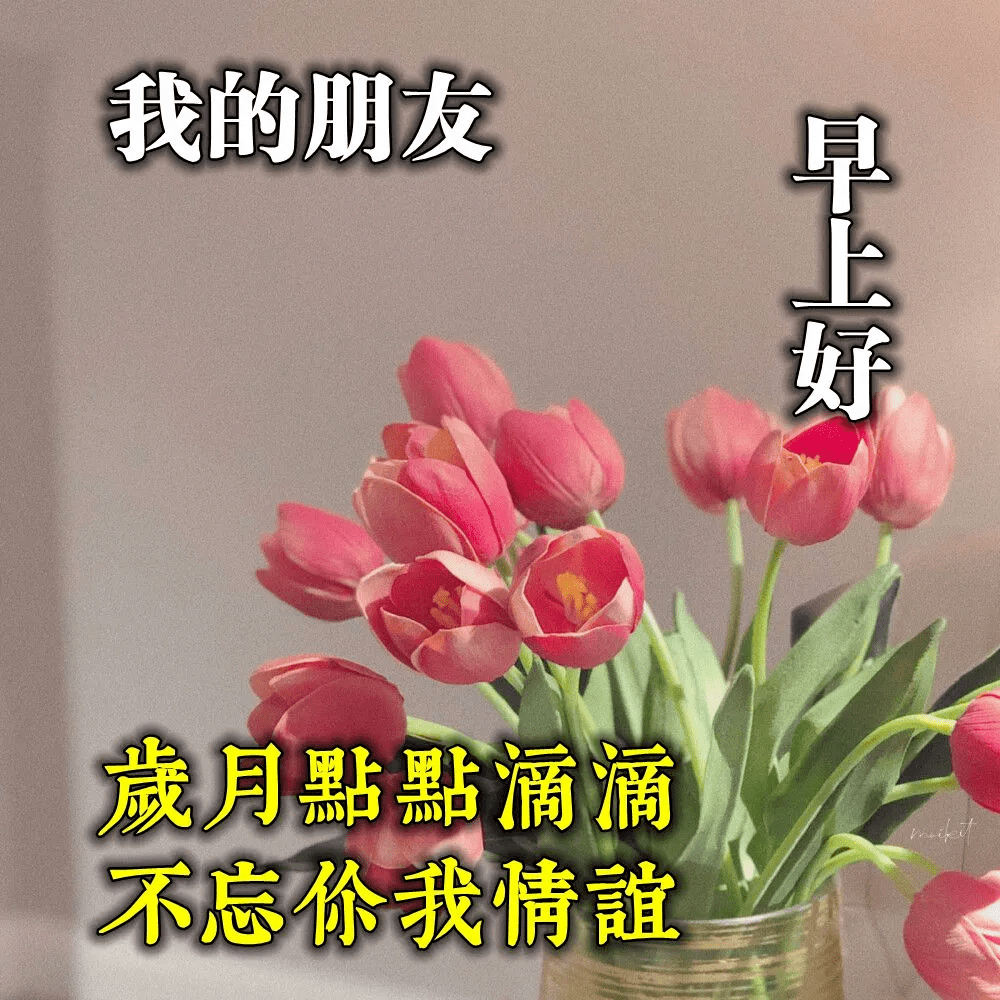 原創早上好的祝福表情帶鮮花早晨好祝福語圖片大全