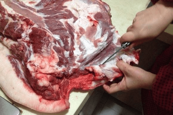 如何挑选猪肉的部位 1a975cccee8841e7a456137d7f97b40a.png