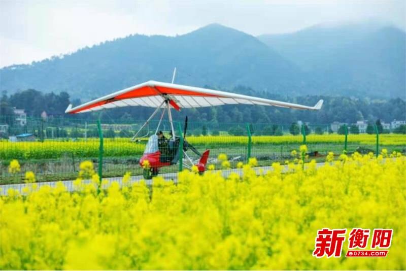 3月16日，衡阳县将举行油菜花节暨乡村旅游节系列活动