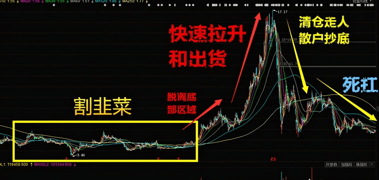 姐弟"联手"割韭菜?葛卫东和葛贵兰"清仓"大牛股:大赚十几亿