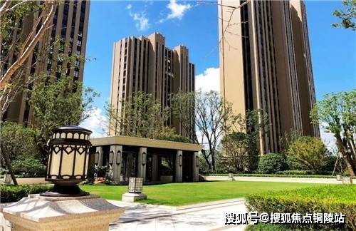 奉贤区的人口_奉贤区地图