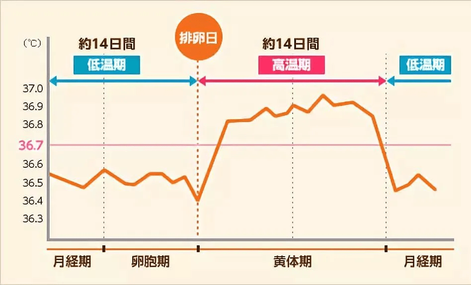 正常人一天体温曲线图_人正常体温一天变化曲线_正常人每天体温曲线