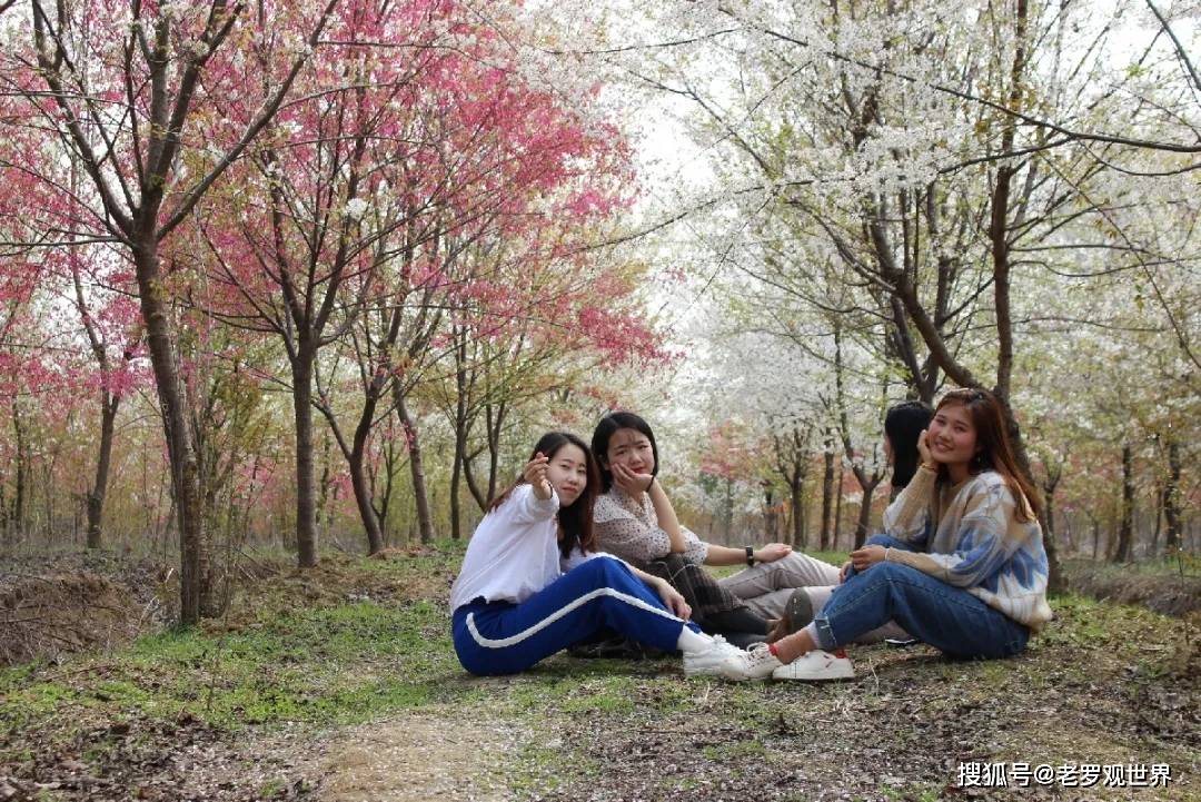 遺產園廬陽區三十崗生態農業旅遊區合肥植物園合肥植物園(花卉:梅花