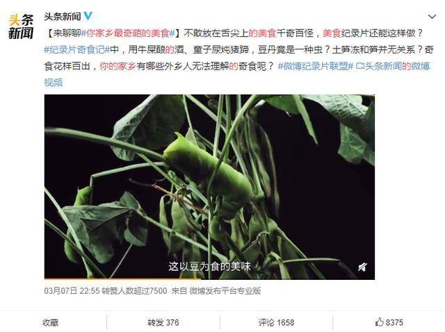 看奇食记被尿煮的蛋惊到了