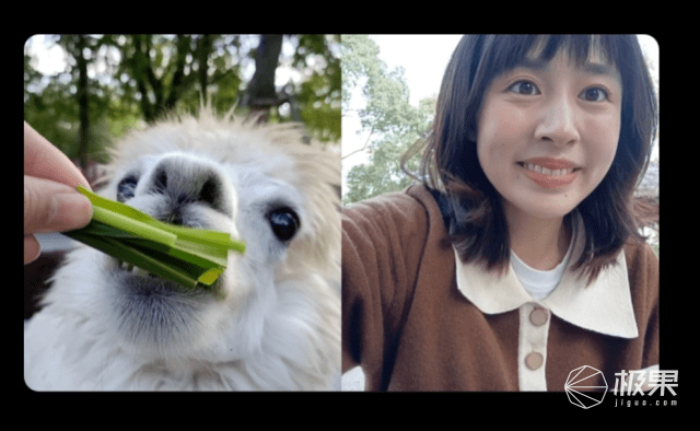 增强版|助力牛年冲锋！实力神机承包全年快乐，起飞就靠它