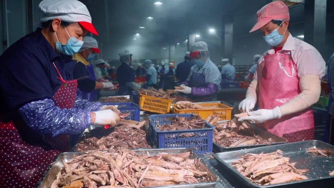 罐头生产36年,来自“中国罐头之都”的萌冠宠食了解下 罐头生产36年,来自“中国罐头之都”的萌冠宠食了解下
