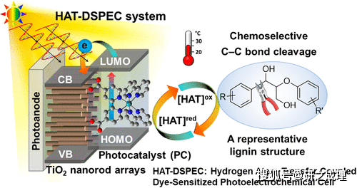 什么是原子经济反应 adbfc88d20af4984a5a616656834aace.png