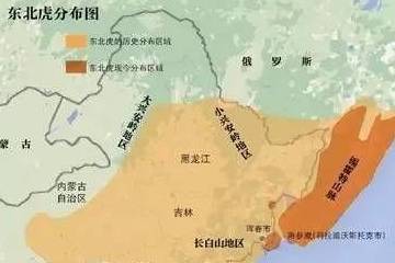 e189353d2a574faea504b53216f32da4.jpeg