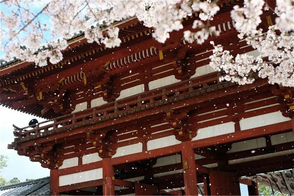 日本的特色新干线|赏画、泡脚、榻榻米，体验日本风俗人情