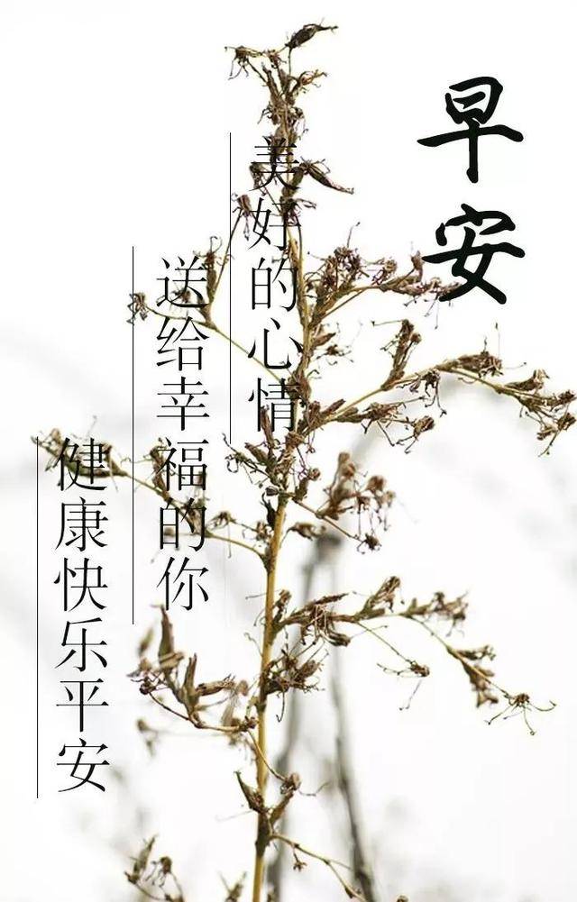 清晨早上好問候大家最棒的祝福語錄早上好溫馨祝福句子送給大家