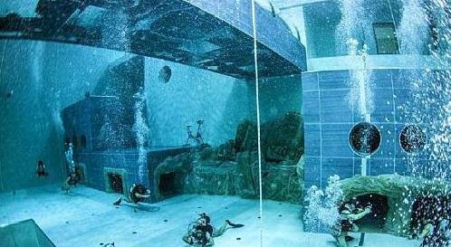 世界上最深泳池，可放入9头非洲象，还让传奇人物自愿看门！