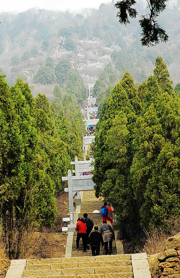 紫荆山景区图片