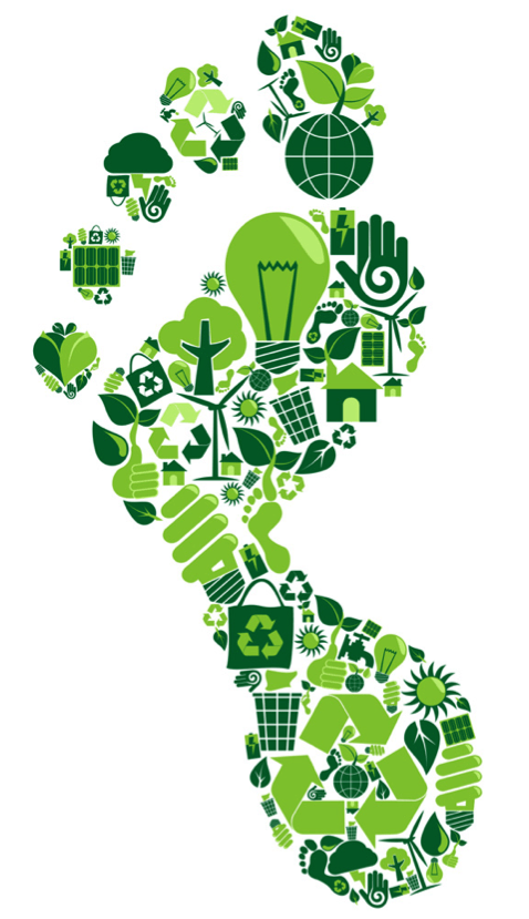 生态足迹(ecological footprint)也称"生态占用",是指维持一个人,地区