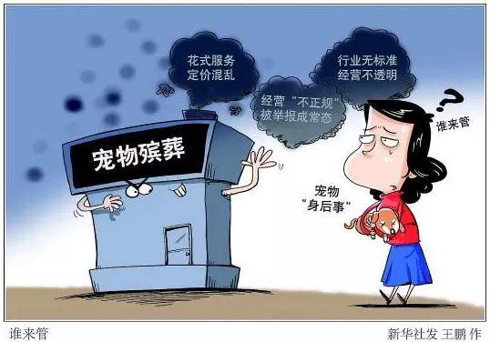新华社权威快报|民政部发布十项殡葬领域行业标准