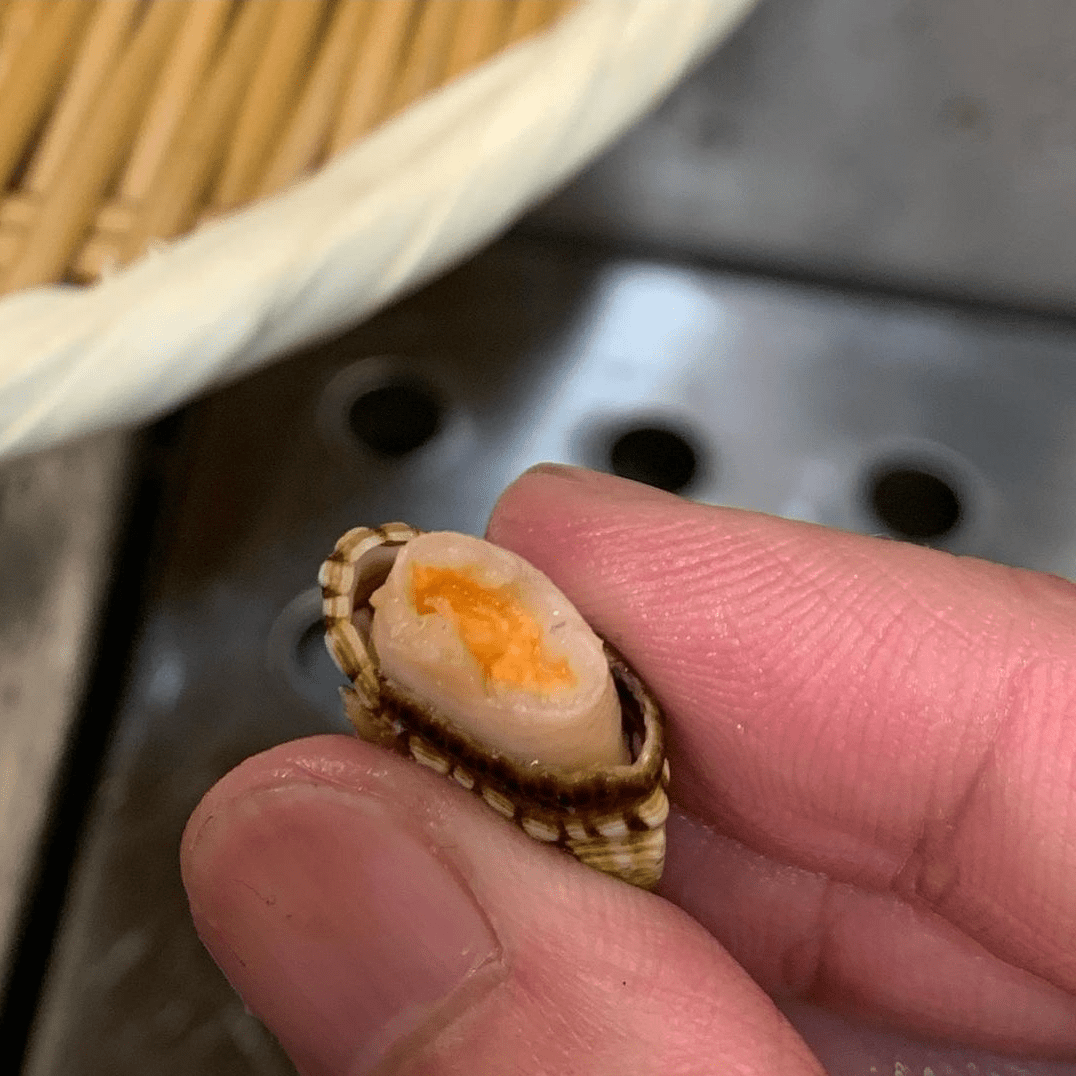 螺学名是鹅颈藤壶,但不像其它藤壶类有硬壳包着,它只有一块类似蛇皮的