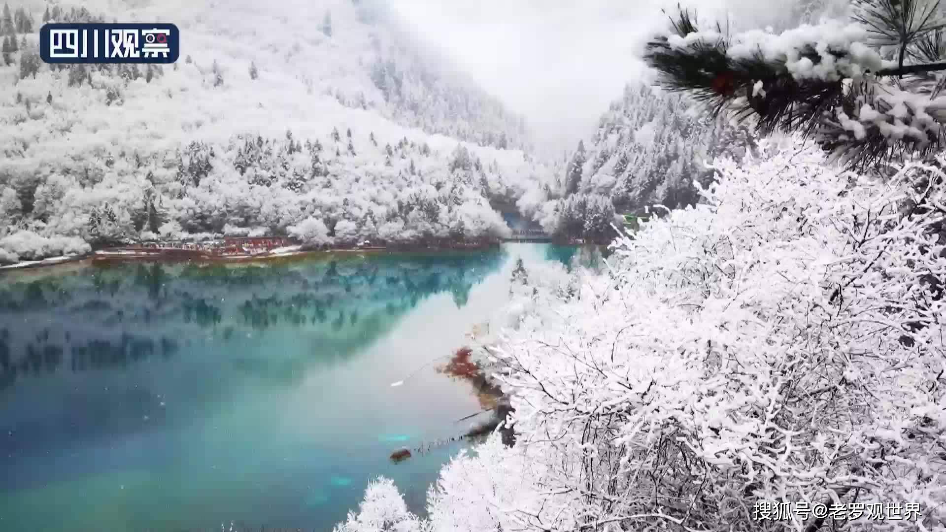 3月20日,正值二十四节气中的春分时节,九寨沟景区喜降大雪,大雪覆盖了