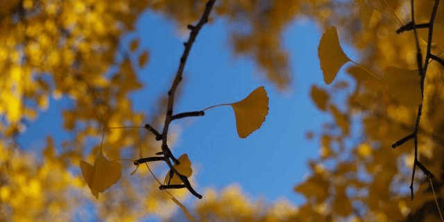 b5d3ab3540d744e8937a9e08177901f1.png