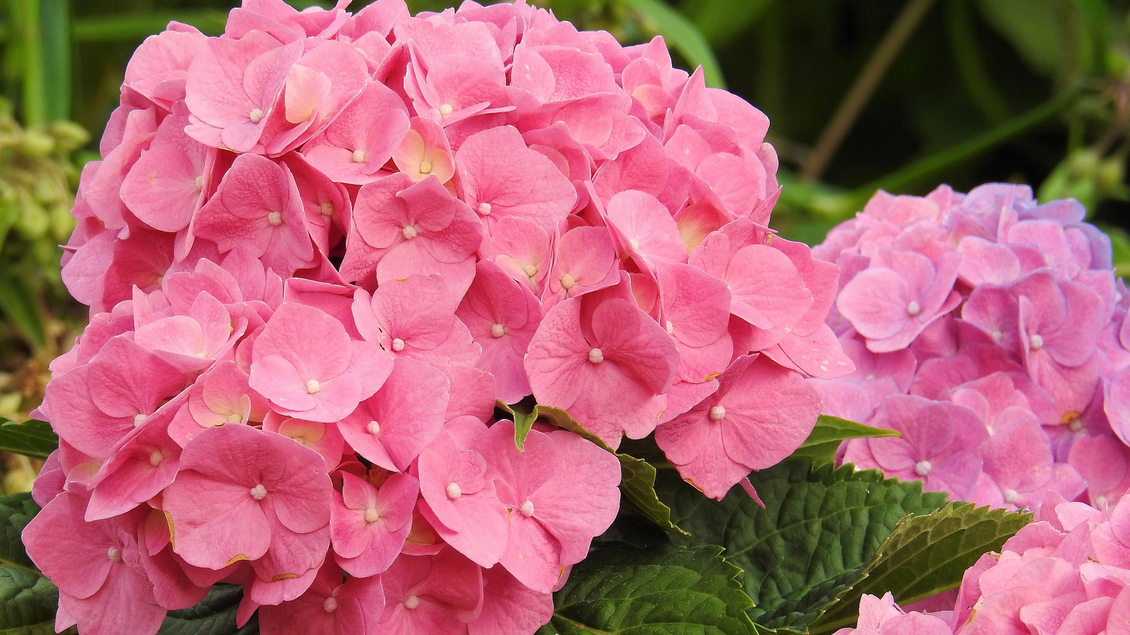 3月21日 27日星座运势 金牛座执行力强 水瓶座突破自我 未来