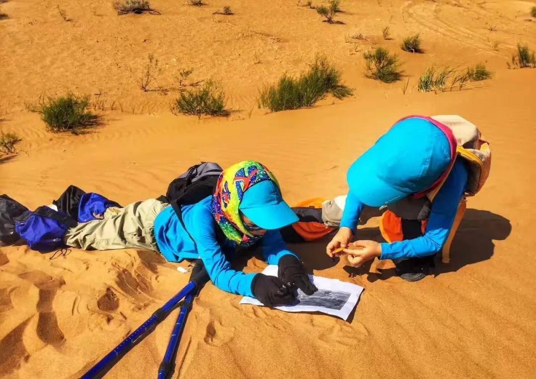沙漠营地产品之荒野生存丨生存游戏少年与他的沙漠探险