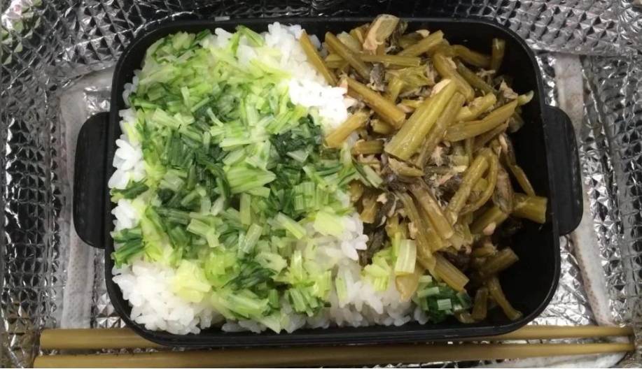 日本男子晒媳妇做的"寒酸便当",与儿子的相比,真是天堂与地狱