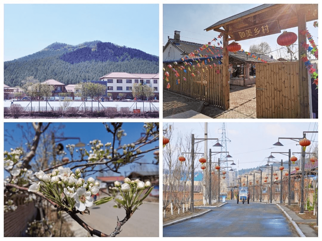 鲜花盛开的山村取景地长春市九台区土们岭街道马鞍山村绽放央视