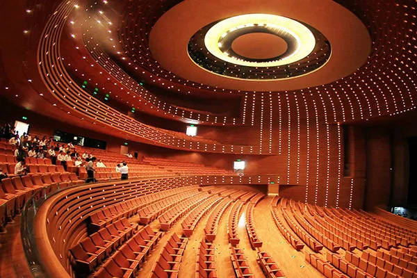 "一人吃饱全家不饿",也有精力,有冲劲,当时剧院里的所有演出我都会看