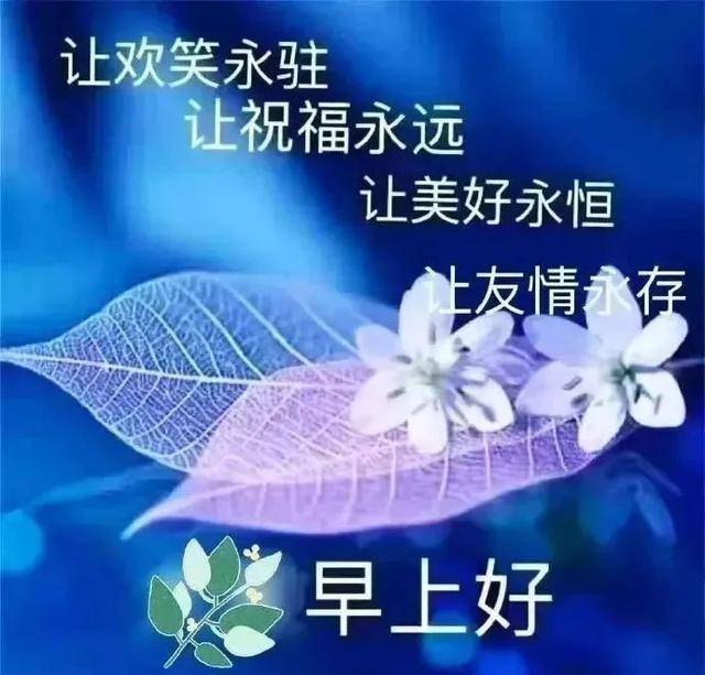 最新早上好问候语鲜花图片早晨好祝福表情包 那几多