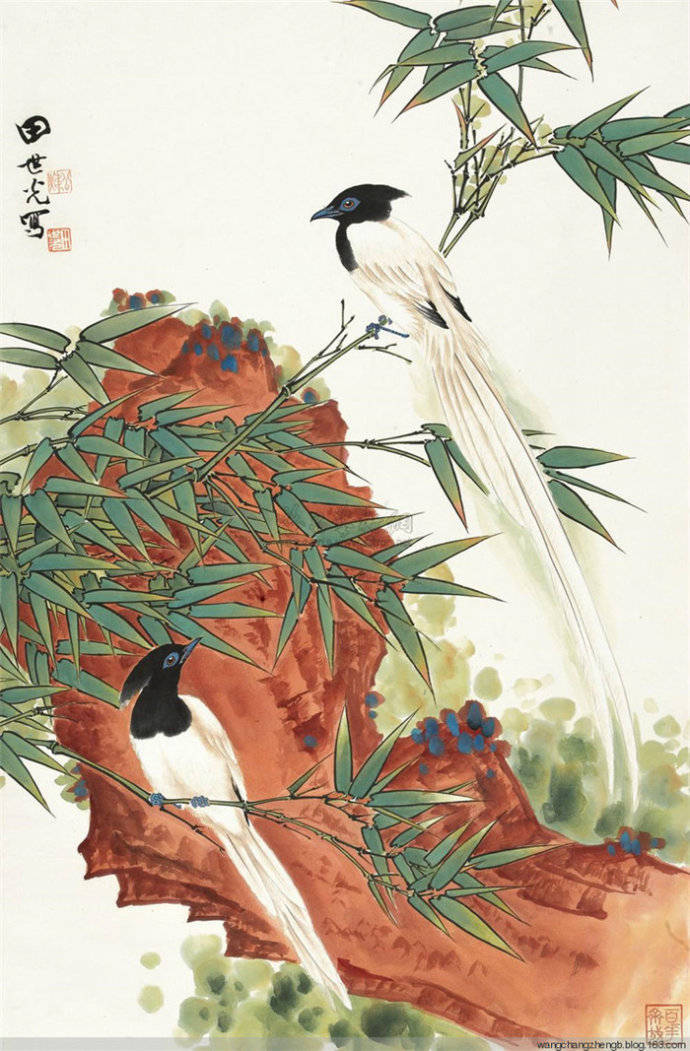 田世光先生花鸟画欣赏